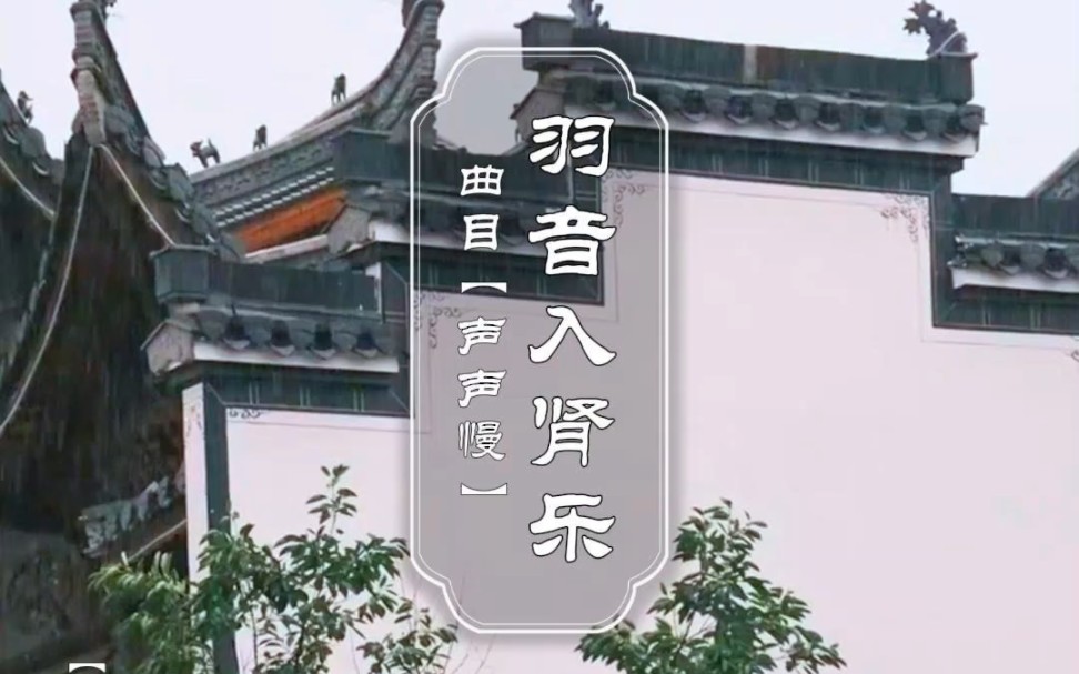 《五音疗愈》羽音入肾乐.每天疗愈音乐分享!