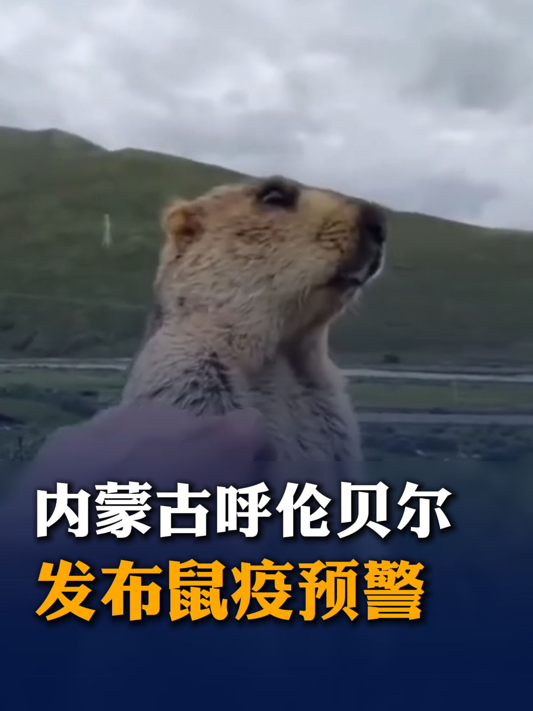 无需过度恐慌！内蒙古呼伦贝尔发布鼠疫预警，入境人员需留意身体异常及时就医