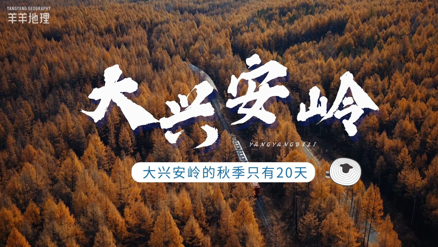 比暑假还短！为什么大兴安岭秋天的黄金观赏期只有20天？