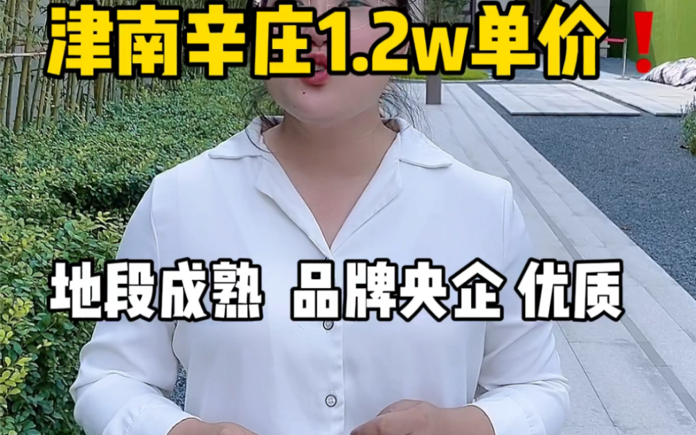 天津看房:津南辛庄单价1.2万了,逆天了!片区成熟,1公里到河西区,狠狠地心动了,一天卖了近30套,国庆假期人头涌动哔哩哔哩bilibili