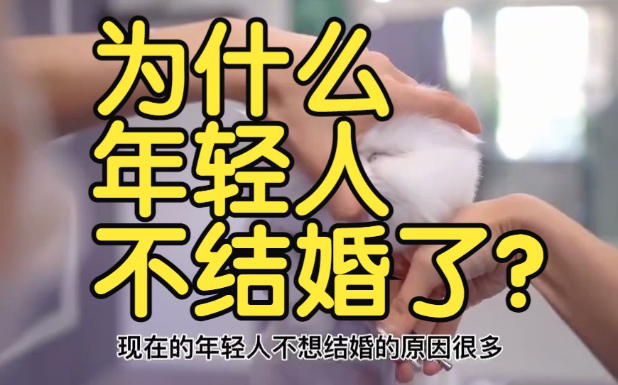 【今日话题】为什么现在的年轻人都不愿意结婚了?