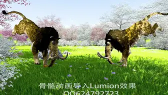 骨骼动画导入Lumion效果之九