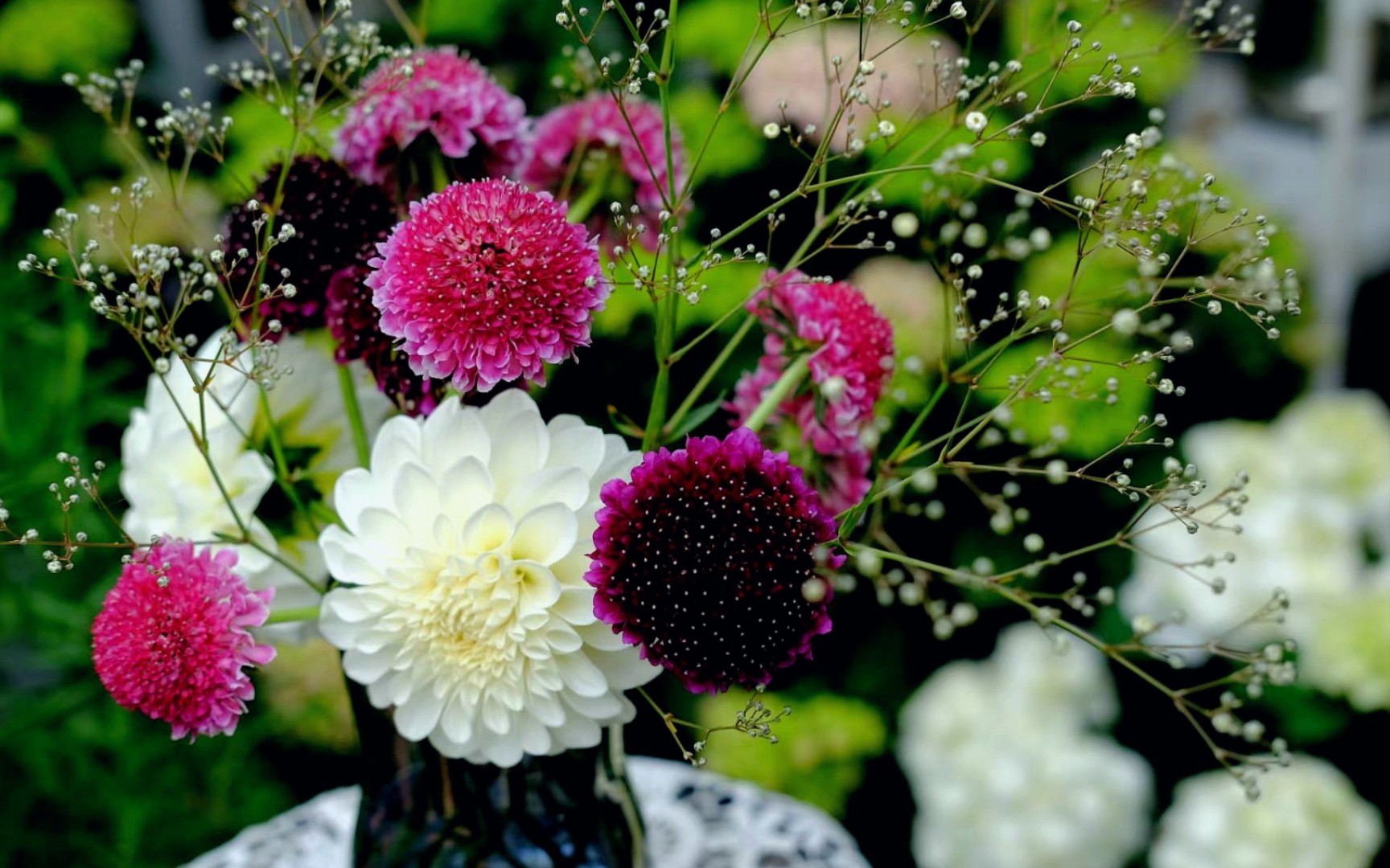 【野生插花】第3期 | 松虫草 大丽花 满天星 | 所有花材均为自己种植