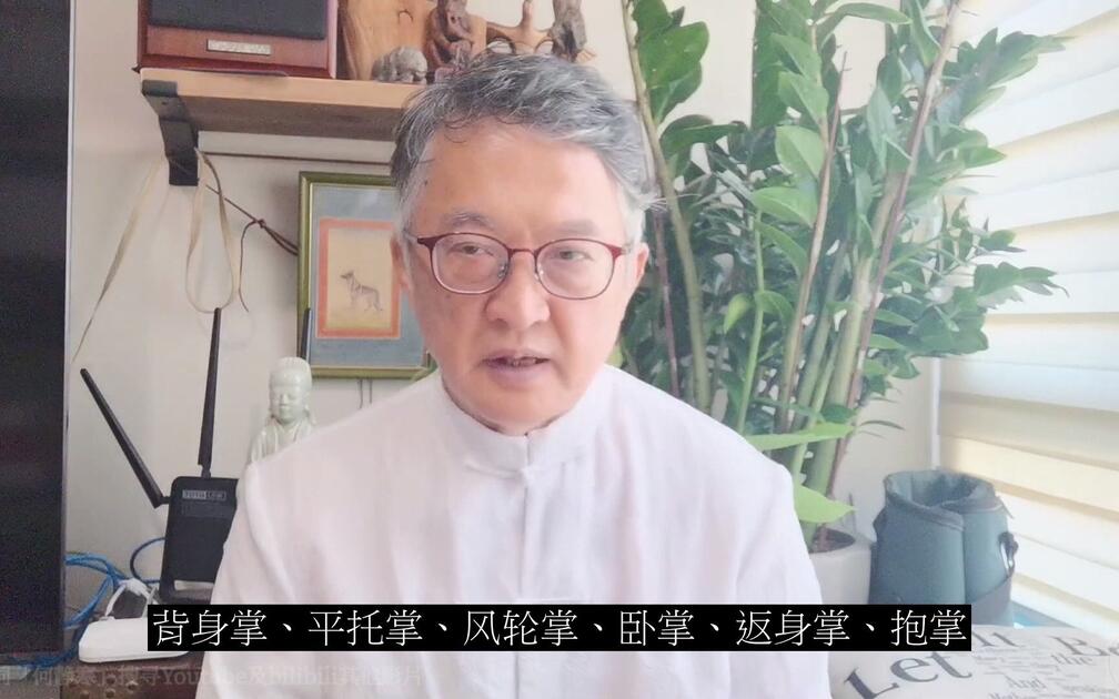 何静寒说八卦拳之第九集「谈八母掌」【字幕版】_哔哩哔哩_bilibili