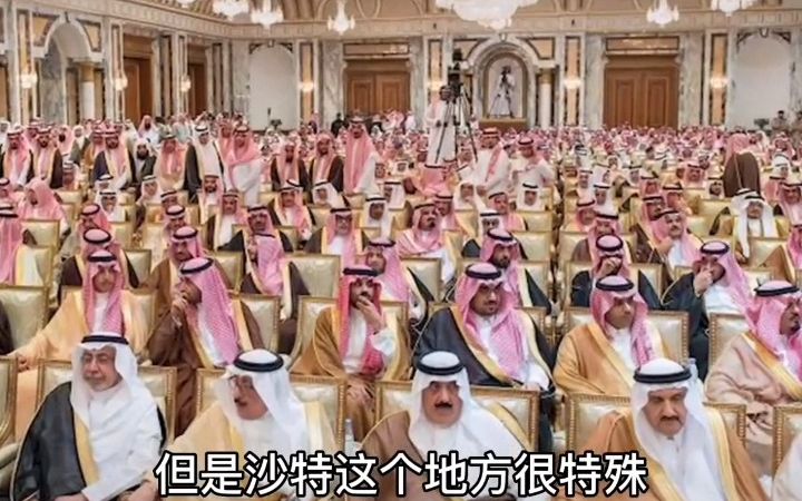 沙特国王娶38个老婆,5000多王子排队等登基!哔哩哔哩bilibili