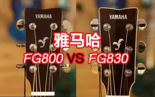 Скачать видео: Yamaha雅马哈FG800和FG830你人生中第一把民谣单板木吉他的首选，无乱弹唱和指弹他都是你的菜！