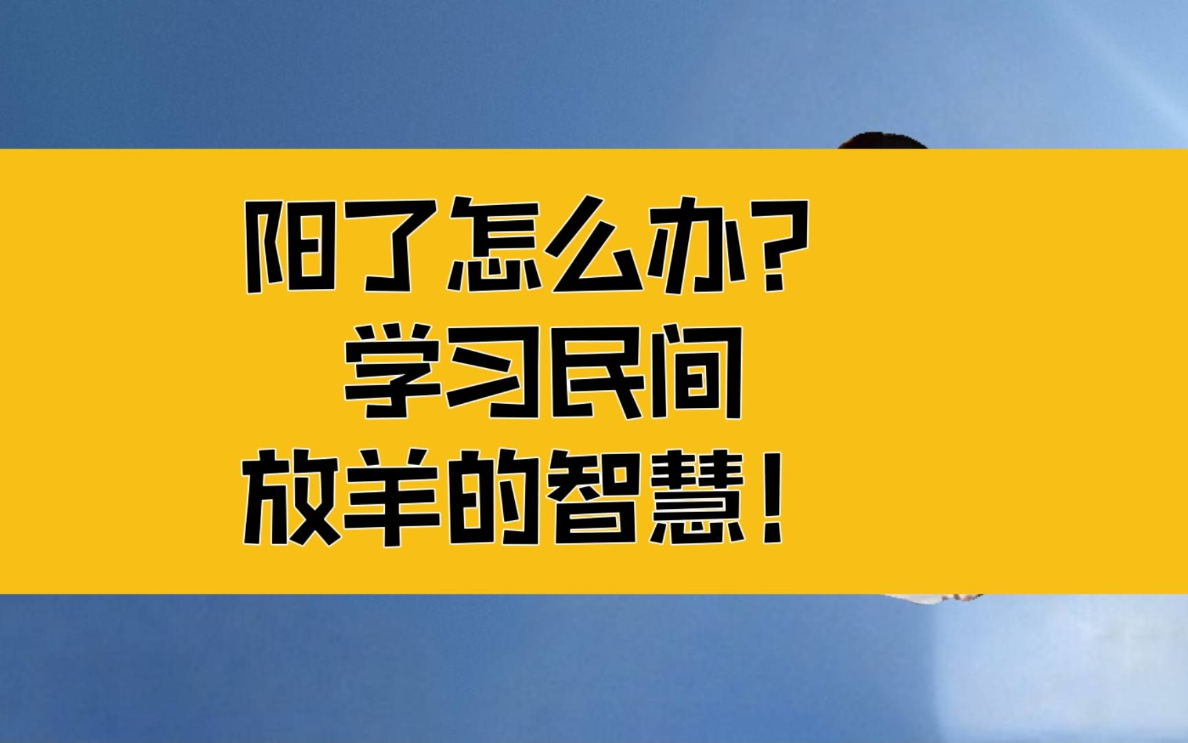 庄子:民间放羊的智慧!阳了怎么办?衽席之上,饮食之间哔哩哔哩bilibili