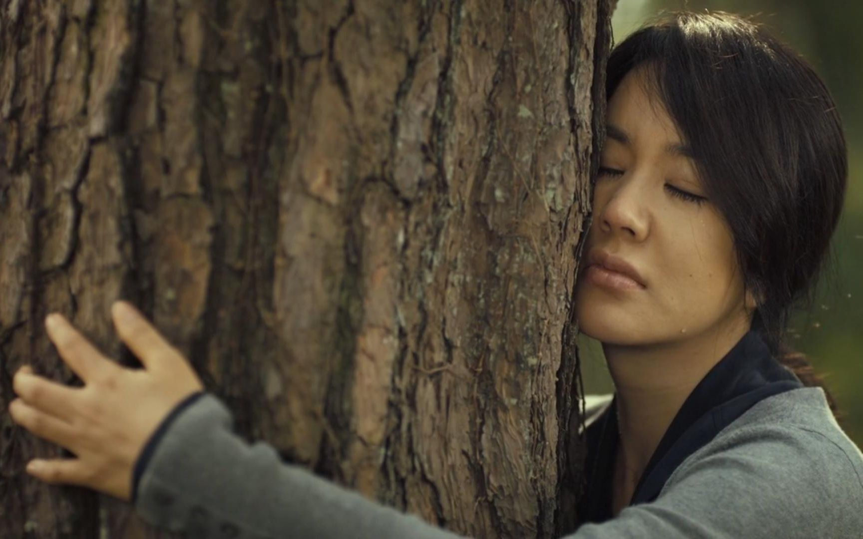 高分悬疑电影蒙太奇15年的曲折蜿蜒