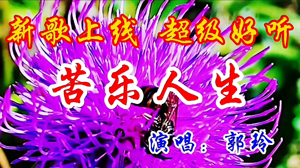 新歌上线郭玲一首dj版苦乐人生旋律动感品人生酸甜苦辣