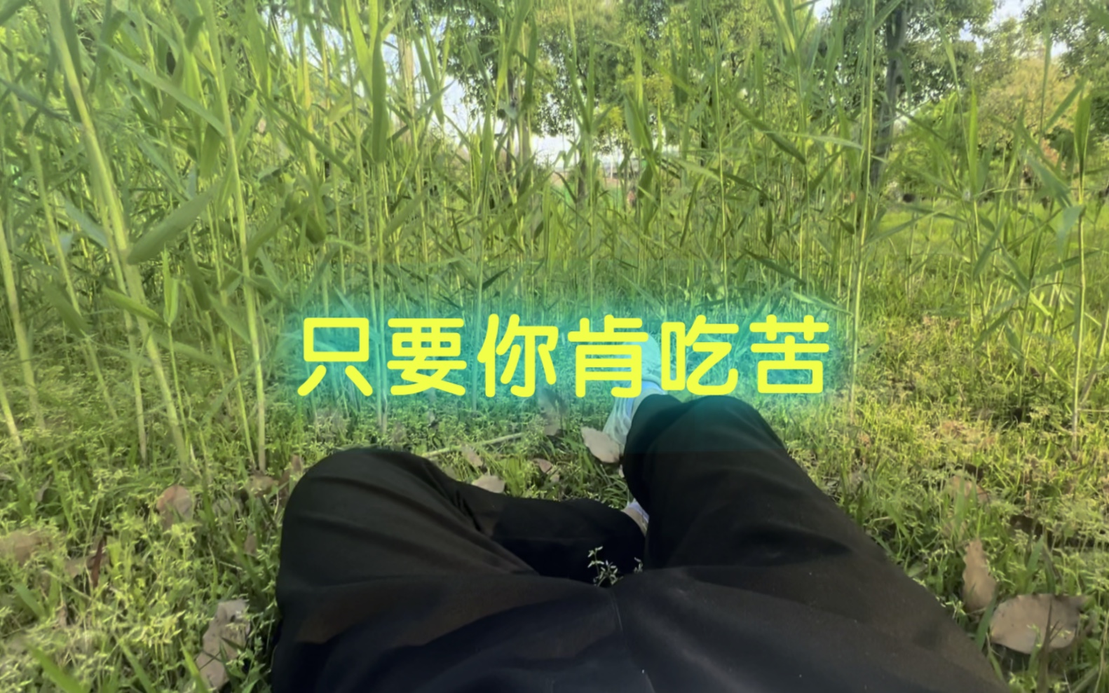 只要你肯吃苦,这辈子就有吃不完的苦