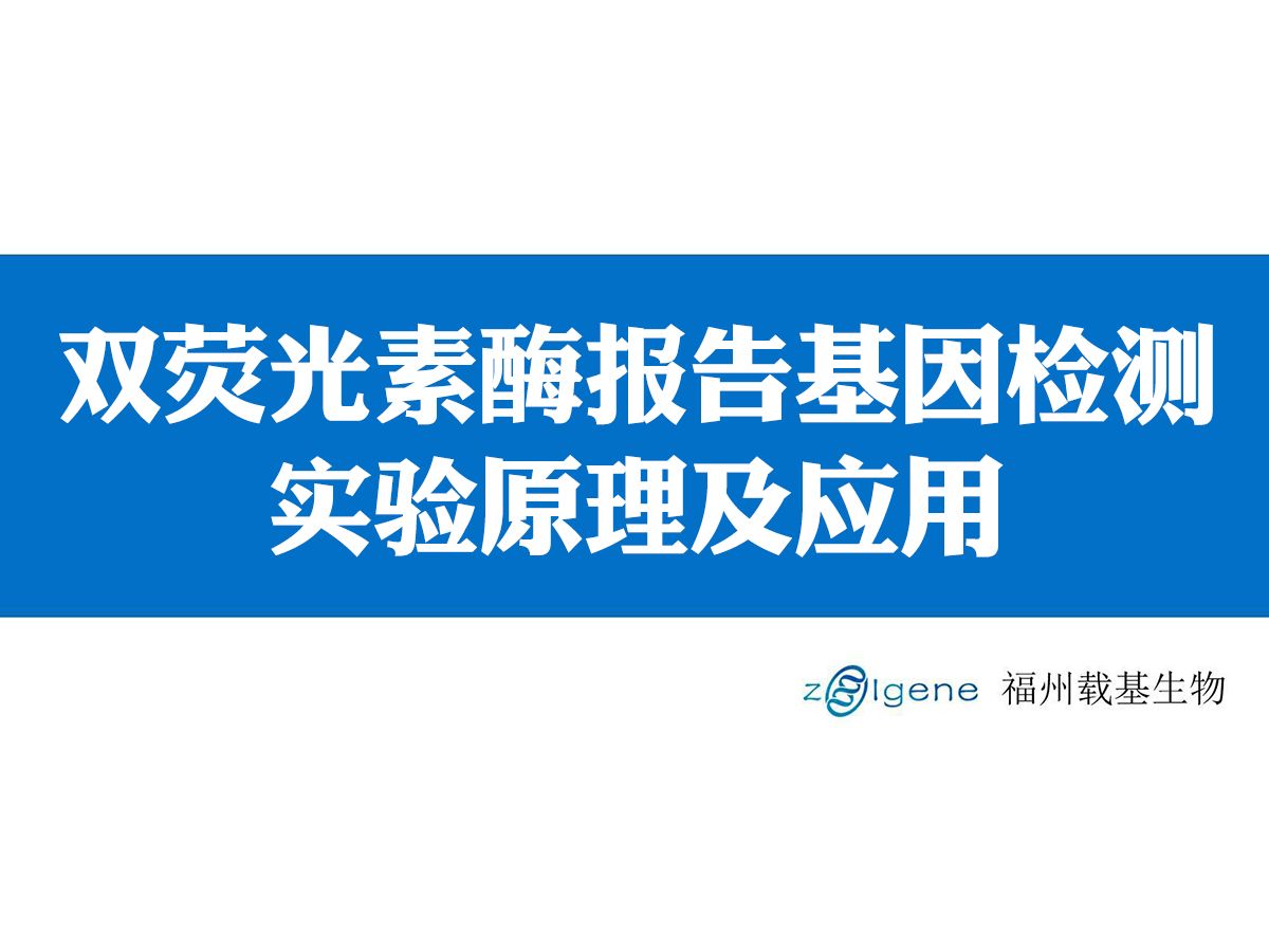 双荧光素酶报告基因实验原理及应用,理论指南|要点解析哔哩哔哩bilibili