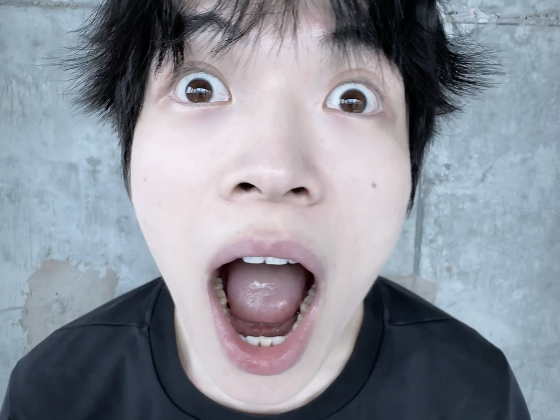 玩偶奇遇记