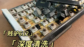 还记得那把让人一看就上火的贱驴么？开始了！速来围观吧！贱驴612 深度清洗