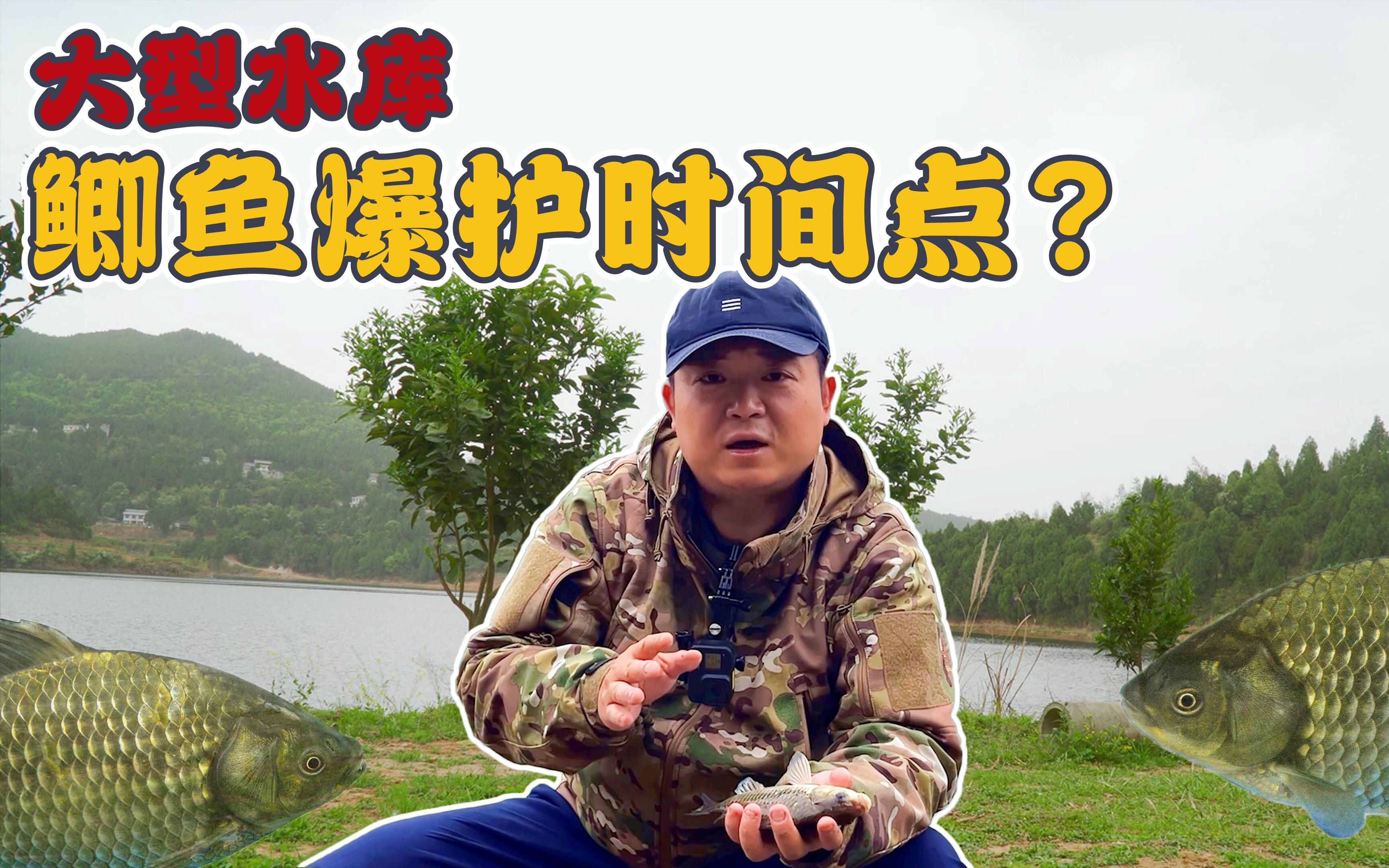 钓鱼问渔不如问鱼,让鱼告诉你究竟什么时候钓鱼?哔哩哔哩bilibili