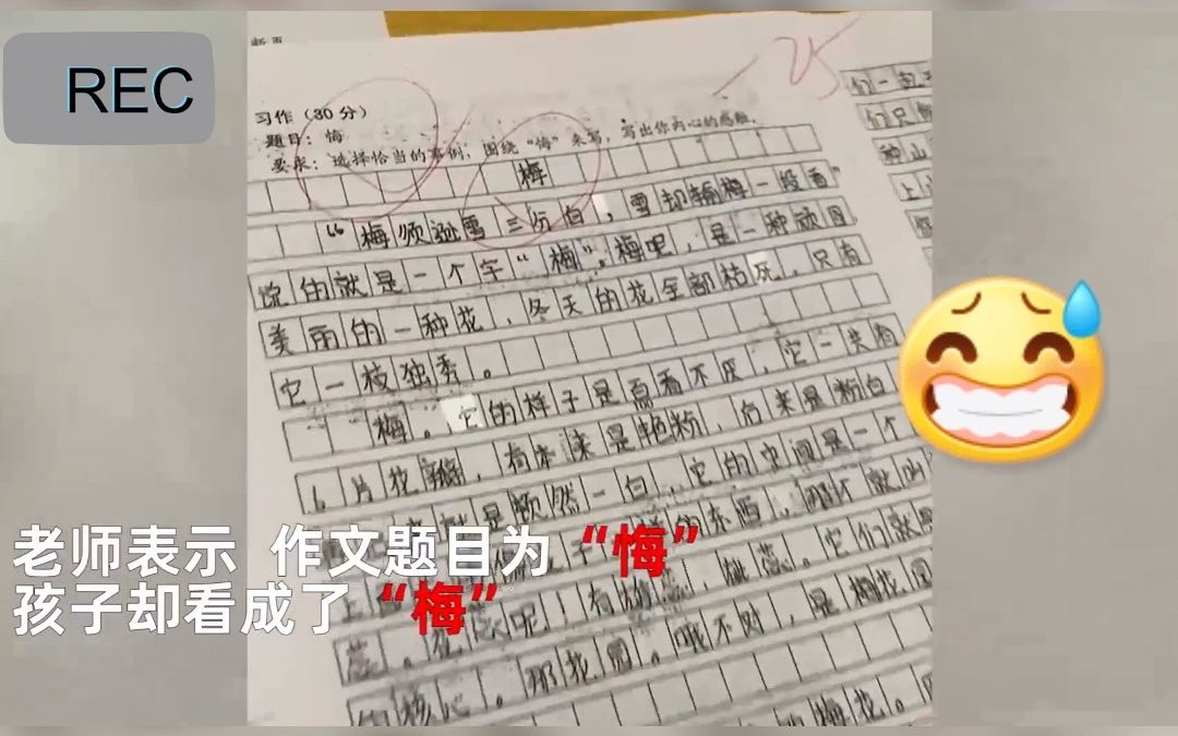 6年级学生写“满分”水准作文却只得5分,只因错把题目“悔”看成了“梅”.网友:字字不提“悔”,字字都是“悔”!哔哩哔哩bilibili