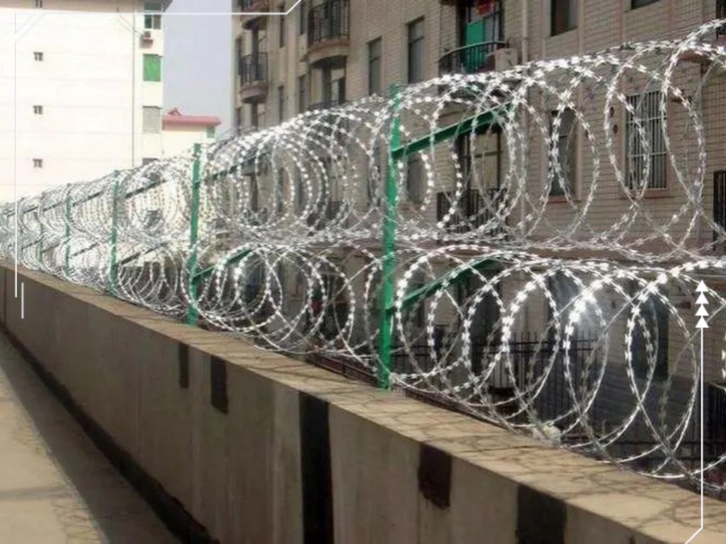 我市专项捕捉5日12时准点发动