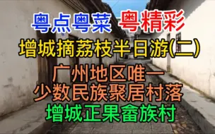 Download Video: 粤点粤菜粤精彩，增城摘荔枝半日游（二），广州地区唯一少数民族聚居村，增城正果畲族村，粤语中字幕