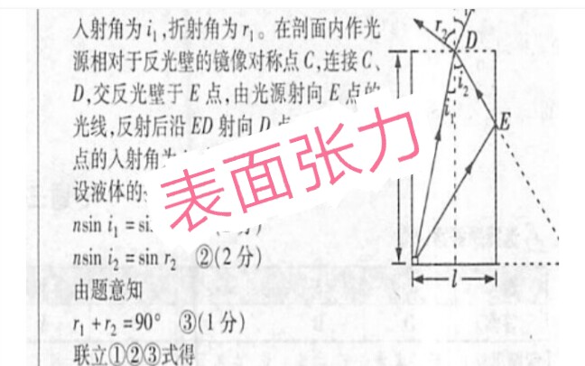 《表面张力》哔哩哔哩bilibili