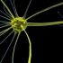 【3D演示】神经系统基础-神经元（原版+中法双字版）