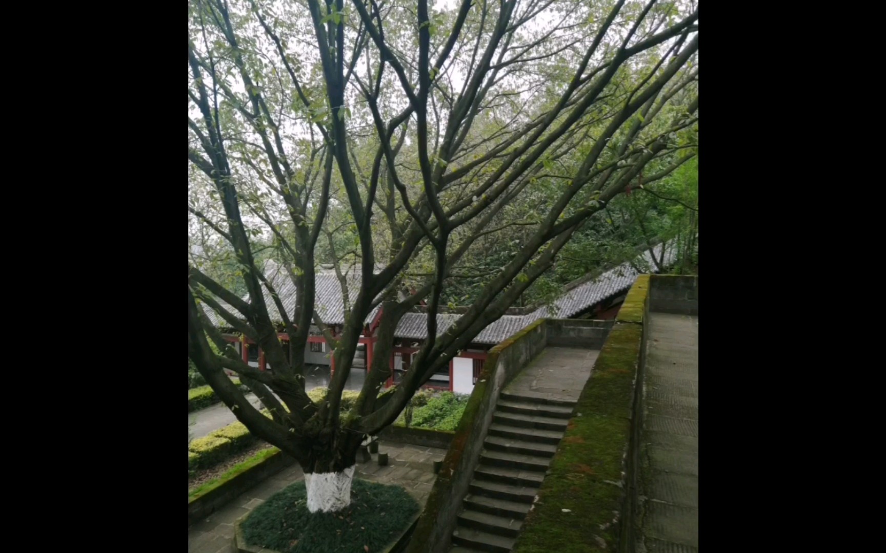 南充万卷楼景区打卡