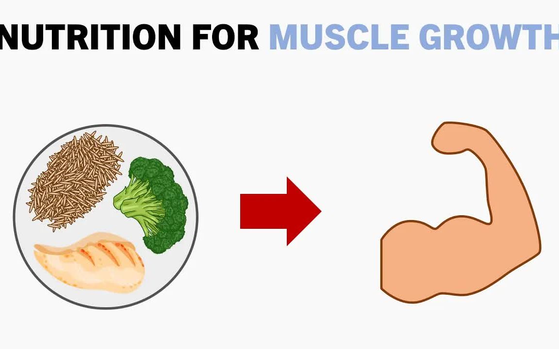 complete nutrition for muscle growth 肌肉生长所需的营养