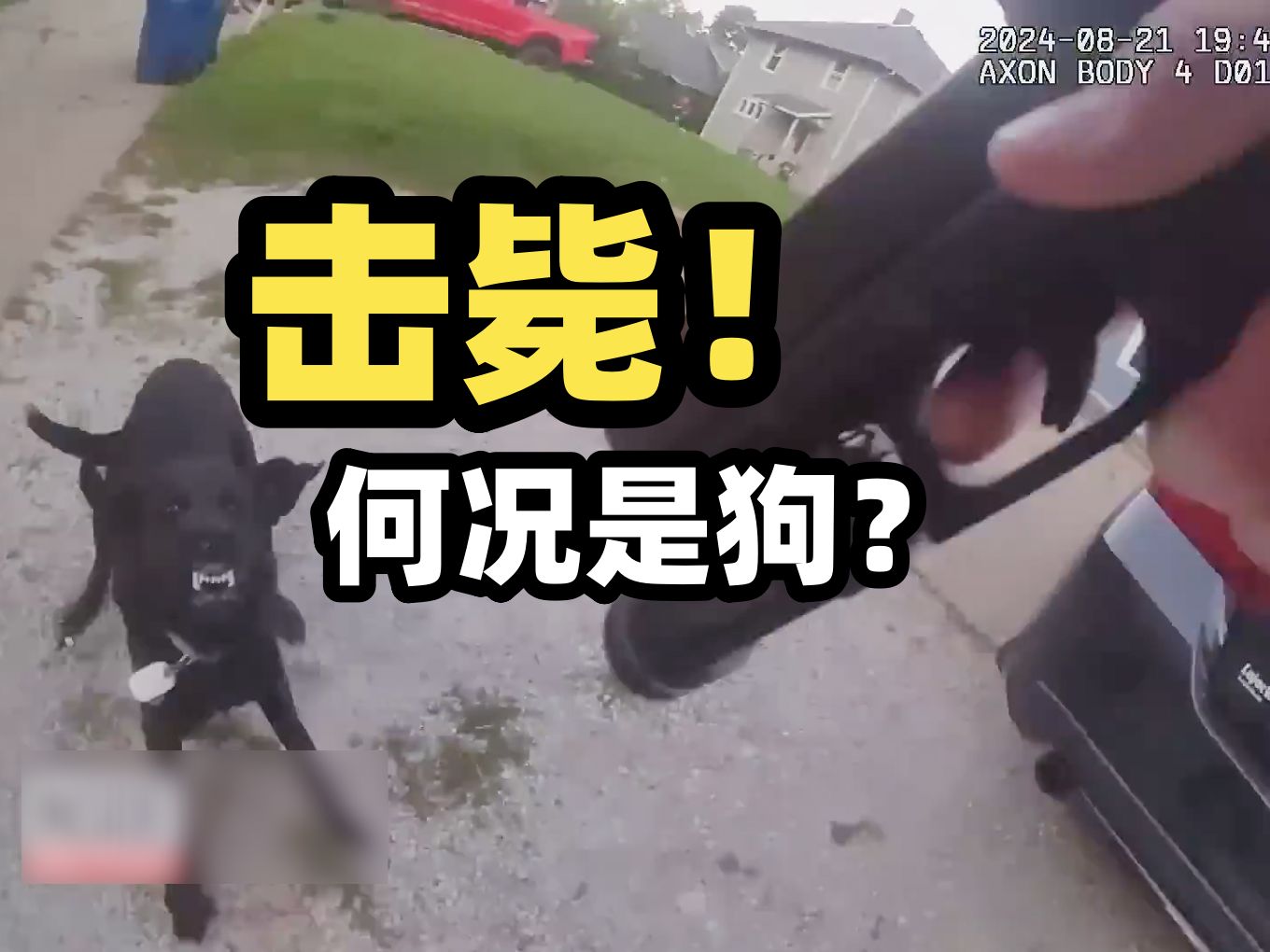 美国艾奥瓦一混种犬冲向警察被击毙 狗主人大闹市议