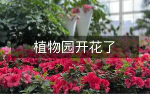 Скачать видео: 植物园开花了，5元的门票逛逛还是可以的