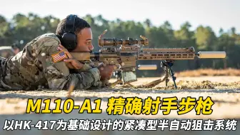 Download Video: 黑克勒&科赫 M110-A1 班组指定射手步枪