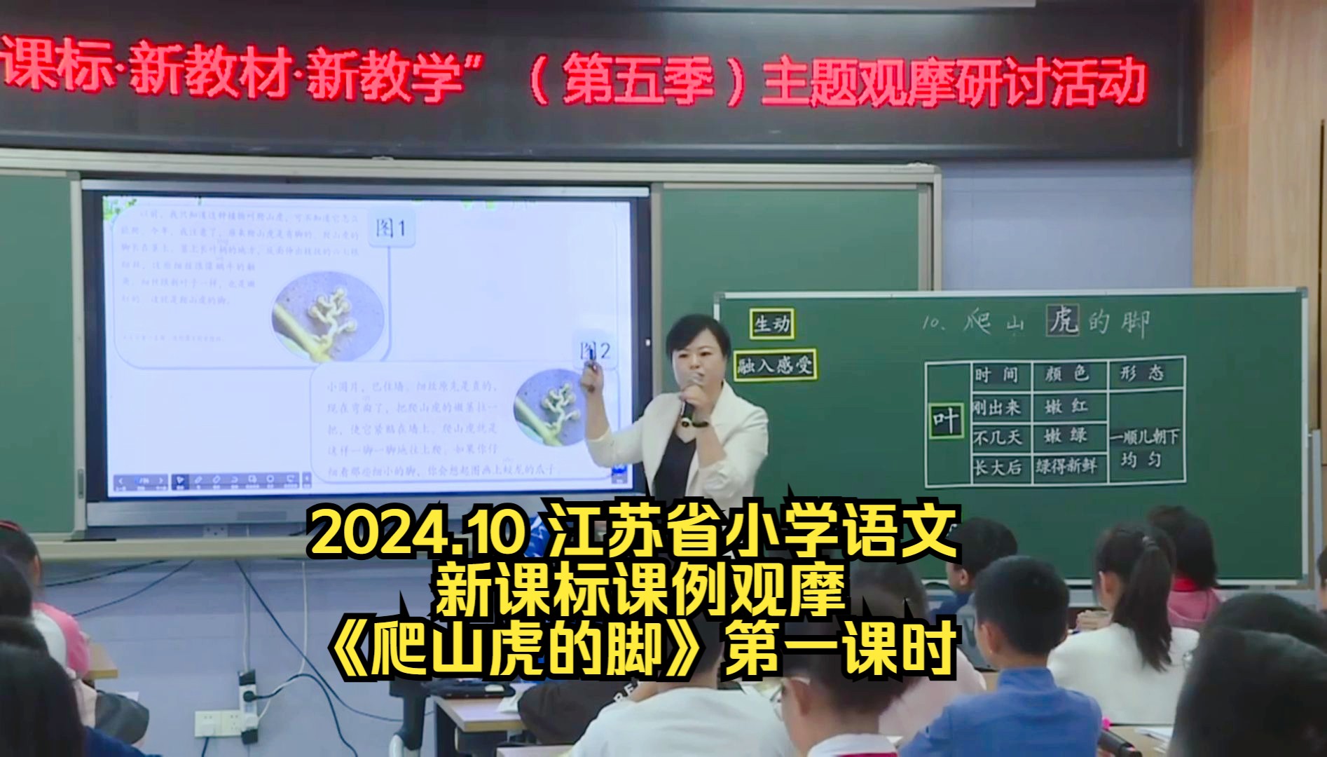 2024.10 江苏省小学语文新课标课例观摩 《爬山虎的脚》第一课时哔哩哔哩bilibili