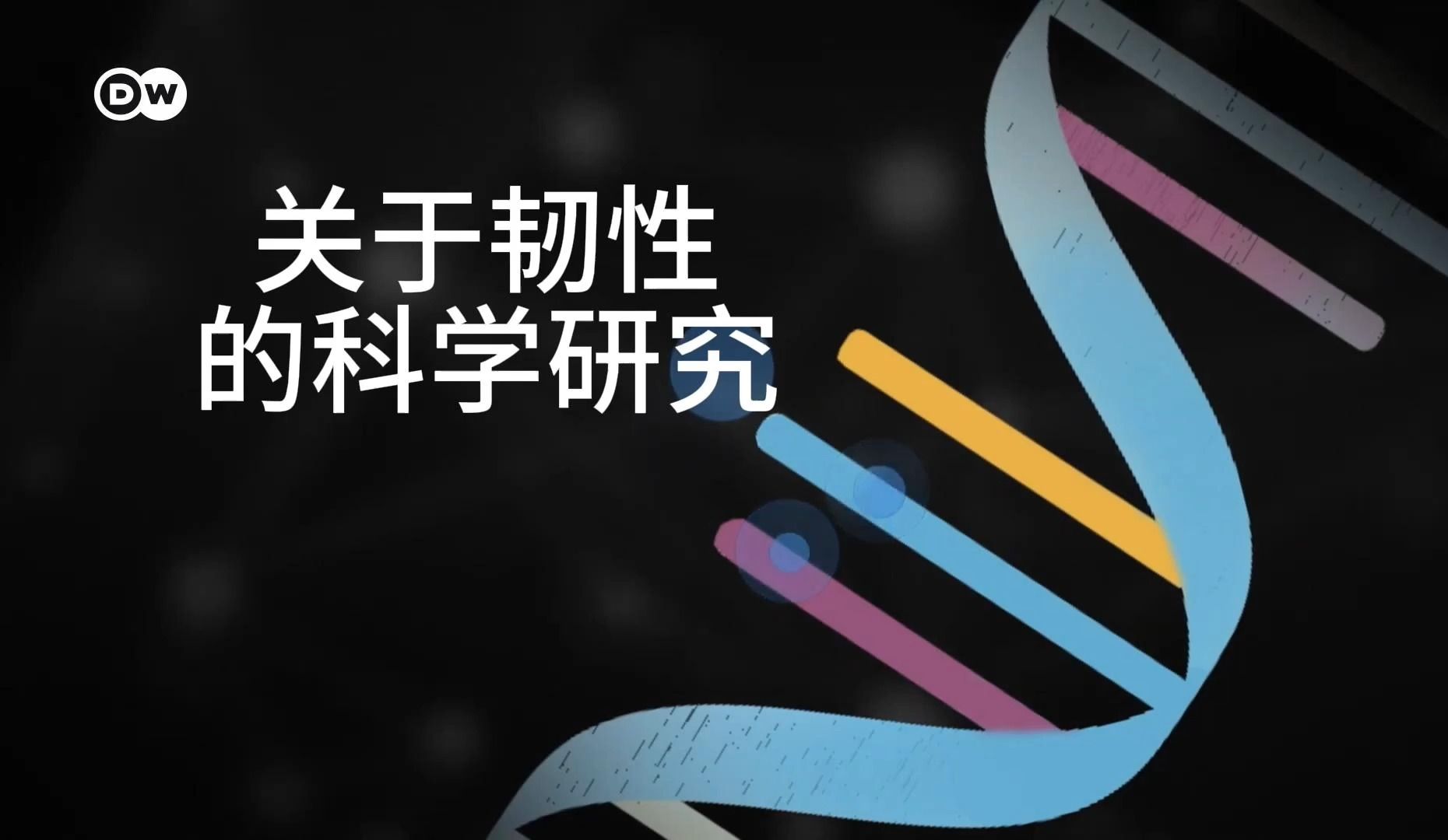 【油管搬运】是什么人让人更强大 关于韧性的科学研究 中英双语字幕哔哩哔哩bilibili