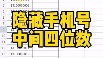隐藏手机号中间四位数#WPS#WPS表格#WPS表格技巧