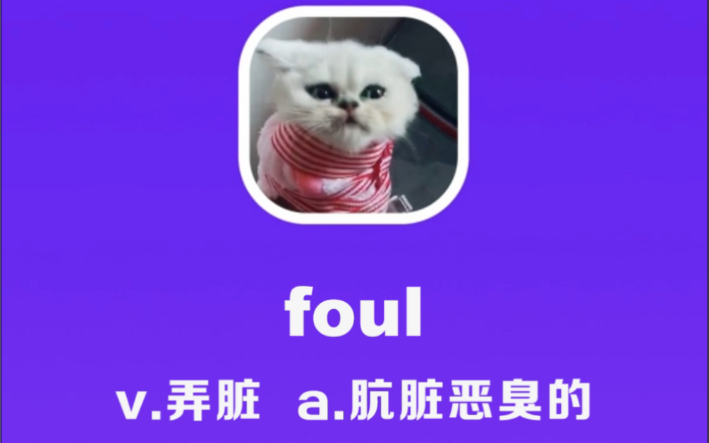 foul:弄脏,肮脏恶臭的哔哩哔哩bilibili