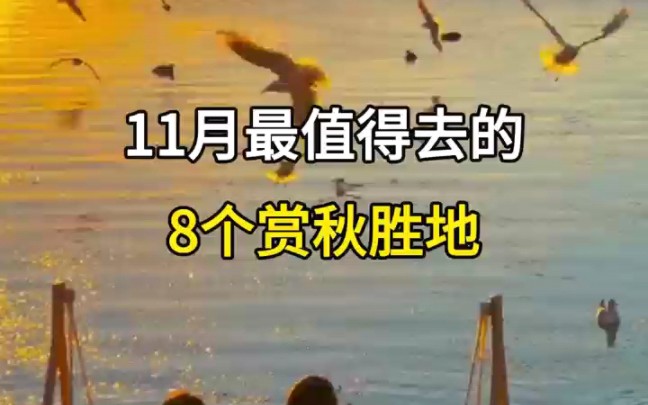 11月最值得去的8个赏秋胜地哔哩哔哩bilibili