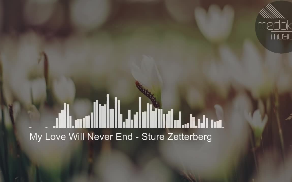 [图]My Love Will Never End - Sture Zetterberg [Pop]