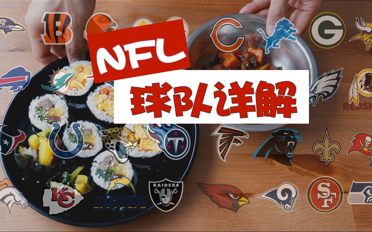 美国橄榄球联盟NFL球队介绍之紫菜包饭篇哔哩哔哩bilibili