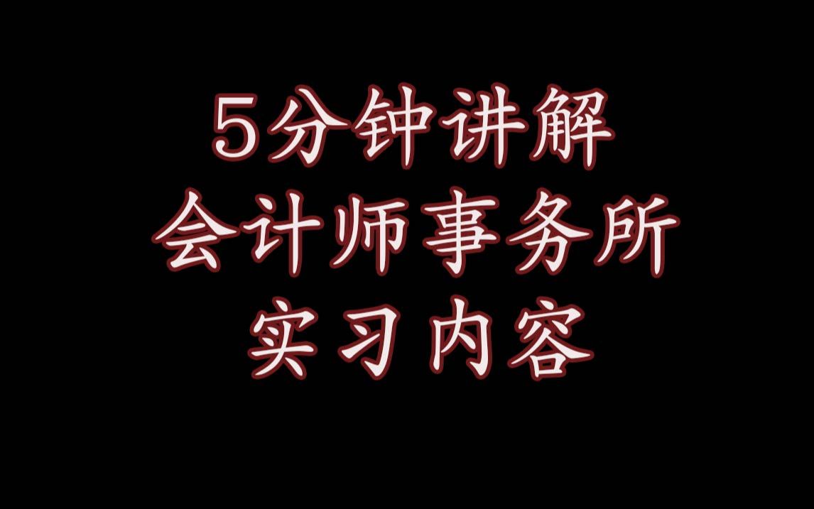 [图]5分钟干货会计师事务所实习做什么的？底稿和抽凭是怎么回事【年审预了解四大八大会计事务所实习必备】