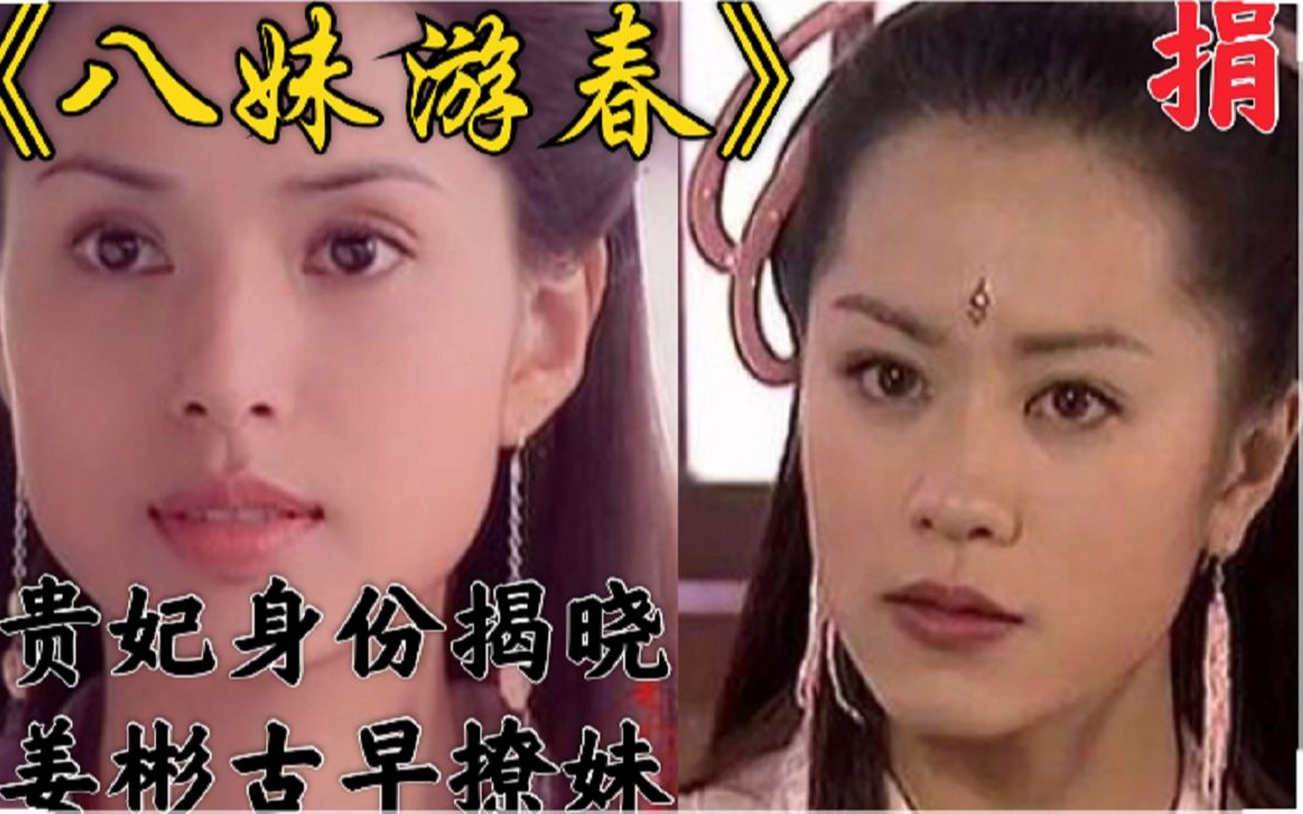 【杨门女将】八妹桃花朵朵爆棚 贵妃实乃辽国公主哔哩哔哩bilibili