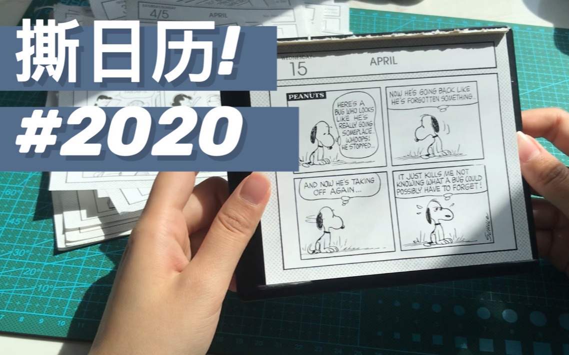 [图]2020撕日历！