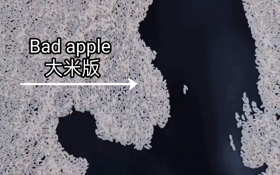 Bad apple 大米版哔哩哔哩bilibili