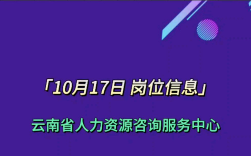 云南省人力资源咨询服务中心招聘12333咨询服务热线工作人员5名…哔哩哔哩bilibili