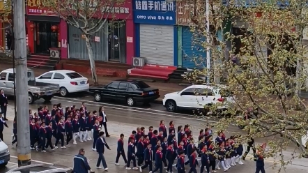 [图]小学生清明节扫墓