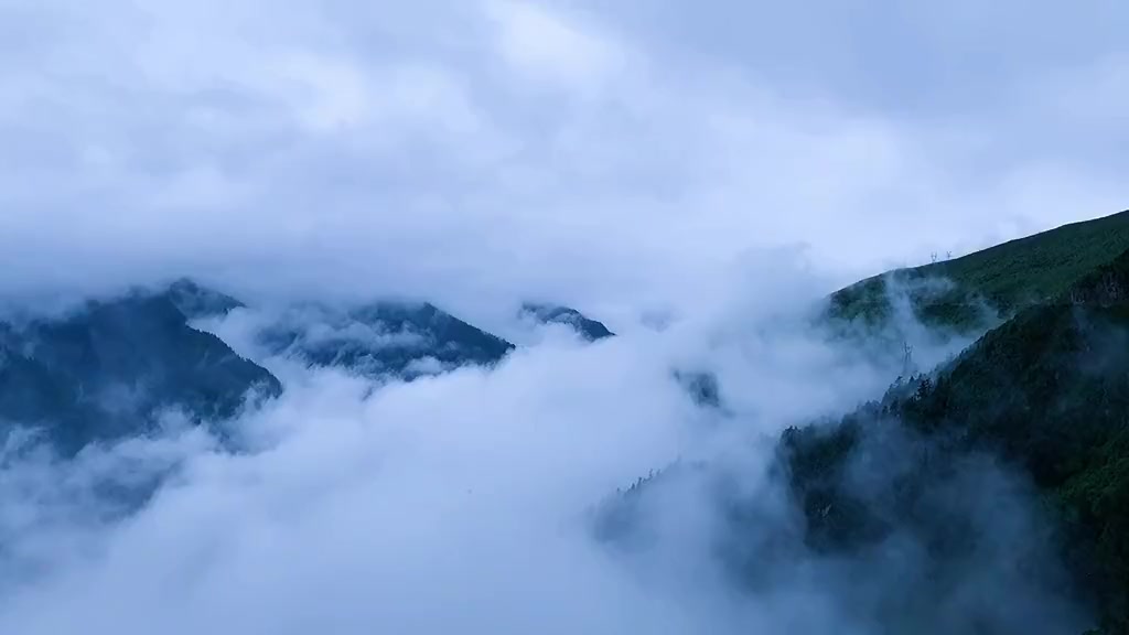 "大雾四起,我在无人之处爱你;大雾散尽,我爱你人尽皆知"09829