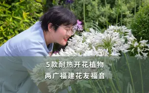 Скачать видео: 【海妈植物推荐】5款耐热开花植物 两广福建花友福音