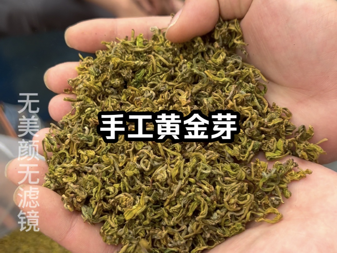 今年茶叶非常饱和,手工黄金芽是有价无市,小刘看准时机收下200斤做工非常好的哔哩哔哩bilibili