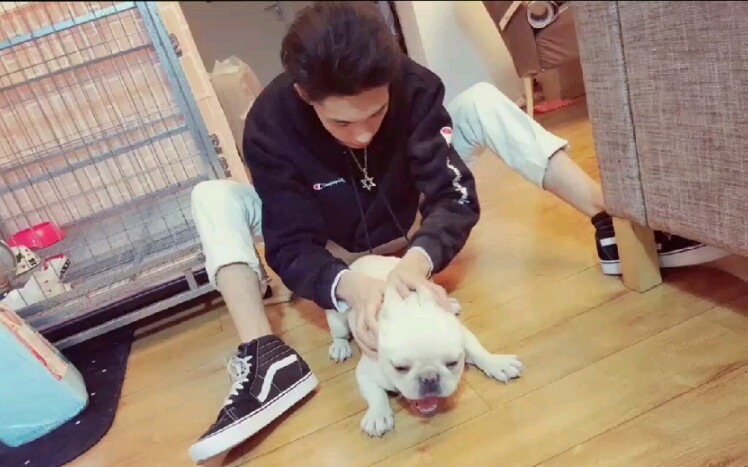 秦霄贤这个bgm挺火的