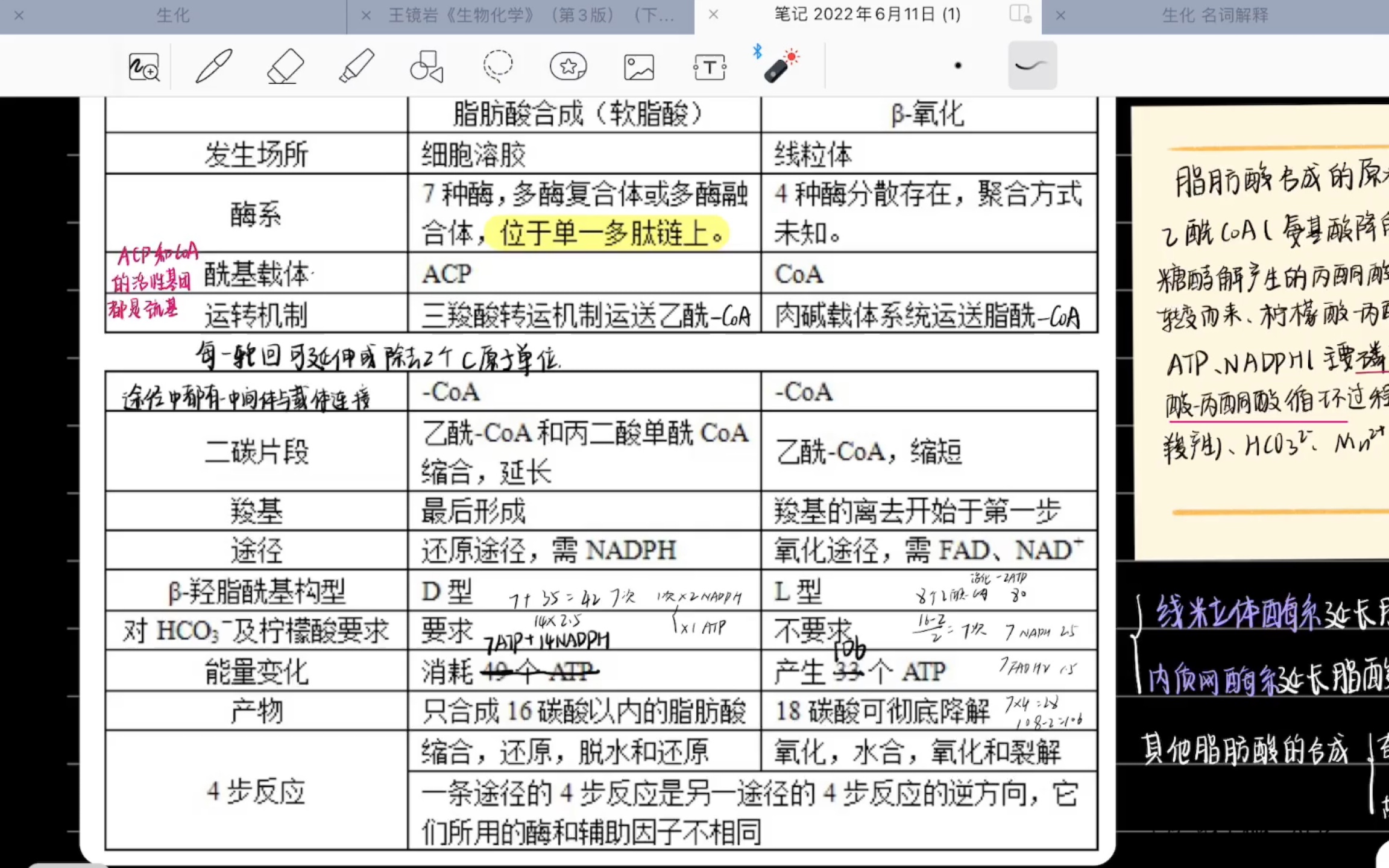 脂肪酸合成与beta氧化能量计算(以软脂酸为例)哔哩哔哩bilibili