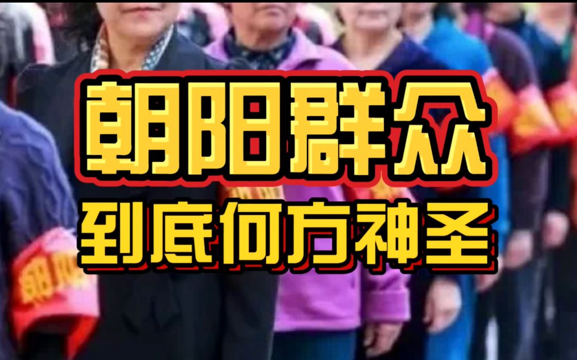 [图]朝阳群众为什么这么牛？到底何方神圣？揭秘世界第五大王牌组织！