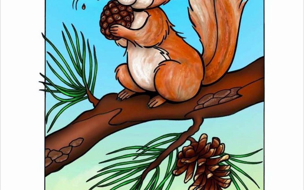 绘本阅读-level a -11-the forest