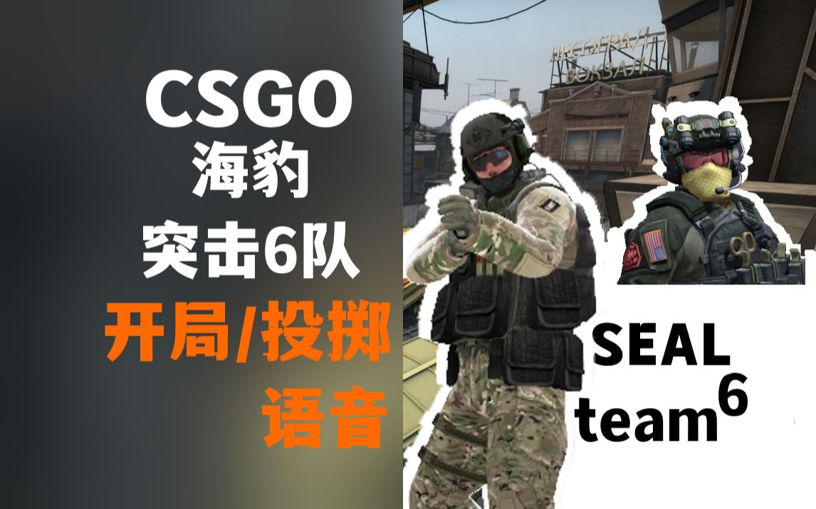 csgo海豹六队图片