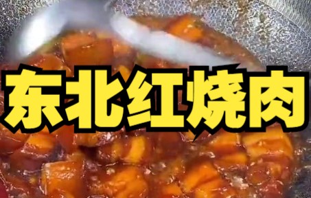 【红烧肉】东北红烧肉哔哩哔哩bilibili